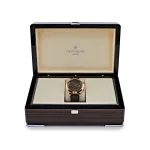 Patek Philippe Grand Complications 6102R-001 ‘Celestial ‘ Rose Gold Black Dial (2024) - Image 19