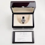 Patek Philippe Grand Complications 5496P-0001 Perpetual Calendar Platinum - Image 22