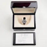 Patek Philippe Grand Complications 5496P-0001 Perpetual Calendar Platinum - Image 21